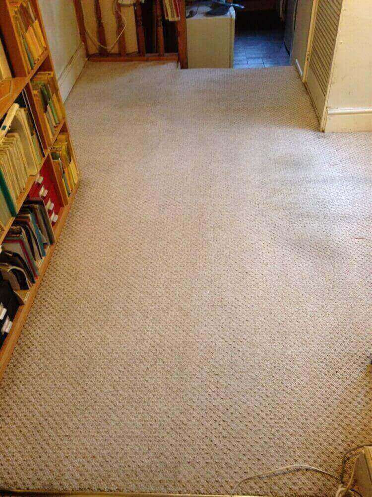 carpet cleaning Leamington Spa