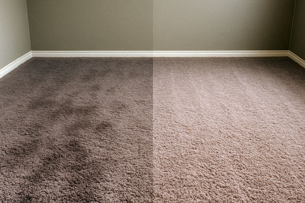 Before and after carpet cleaning in Wellesbourne