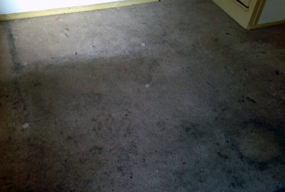 Before carpet cleaning