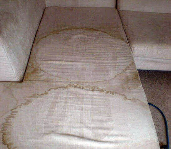 Before Upholstery Cleaning