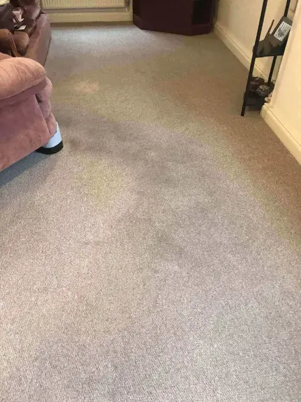 Residential Carpet Cleaning Leamington Spa Residential Carpet Cleaning Leamington Spa