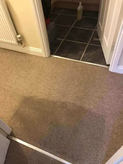 Residential Carpet Cleaning Leamington Spa Residential Carpet Cleaning Leamington Spa