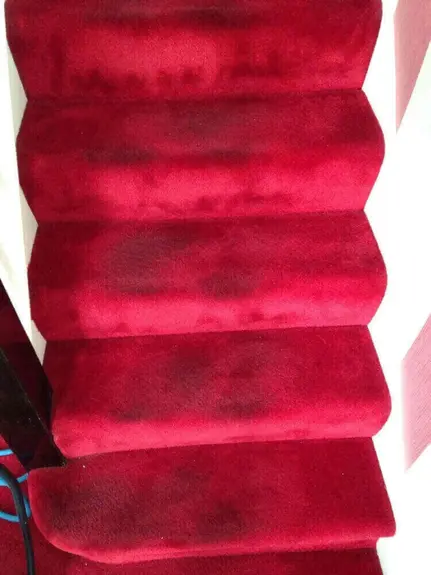 Carpet cleaning Brunswick St Leamington Spa