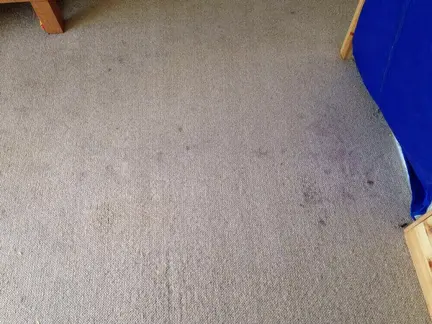 Carpet Cleaning Cubbington