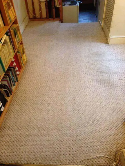 Carpet Stain Removal Leamington Spa