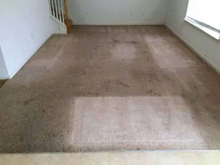 Carpet cleaning Whitnash Leamington Spa