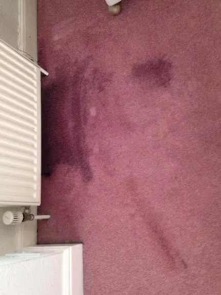 Domestic Carpet cleaning Leamington Spa
