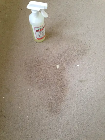 Carpet Cleaning Harbury, Warwickshire