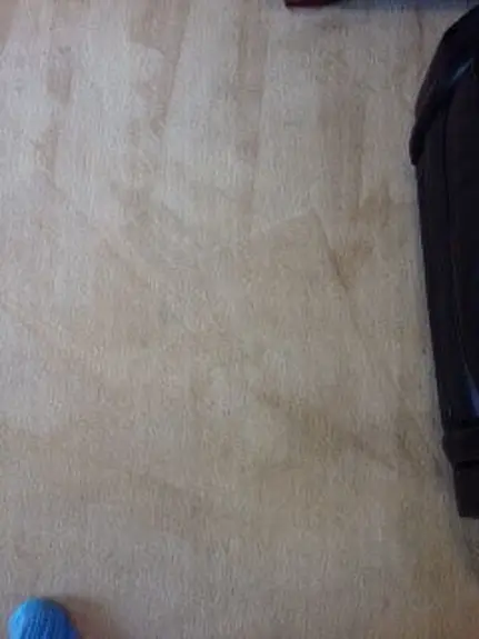Carpet Cleaner