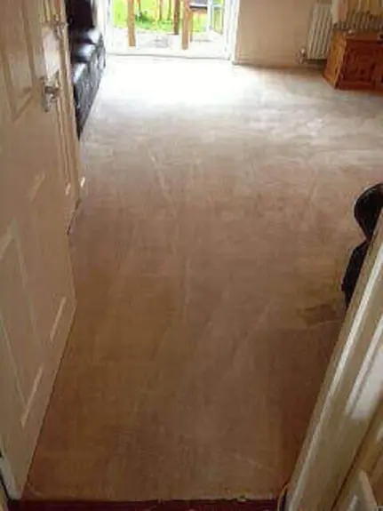 Carpet Cleaner