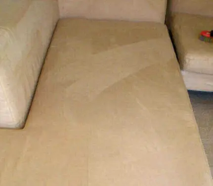 Carpet Cleaner