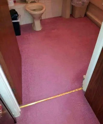 Carpet Cleaner