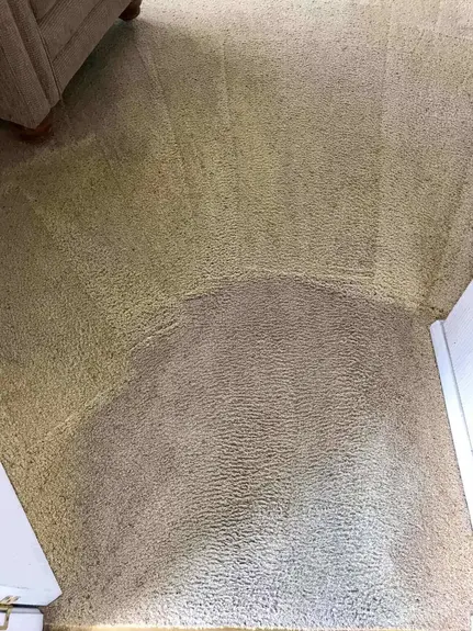 Carpet Cleaner
