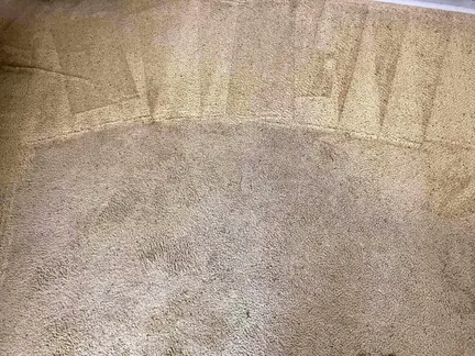 Carpet Cleaner