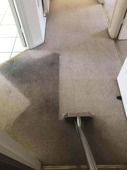 Carpet Cleaner