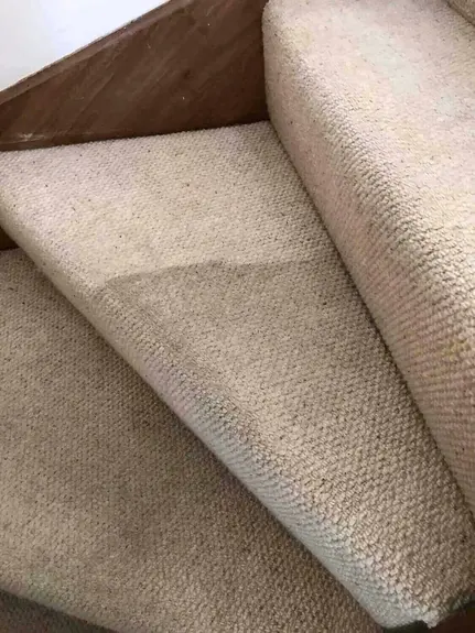 Carpet Cleaner