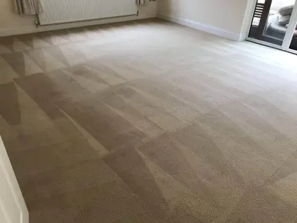 Carpet Cleaner