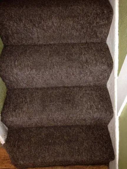 Carpet Cleaner