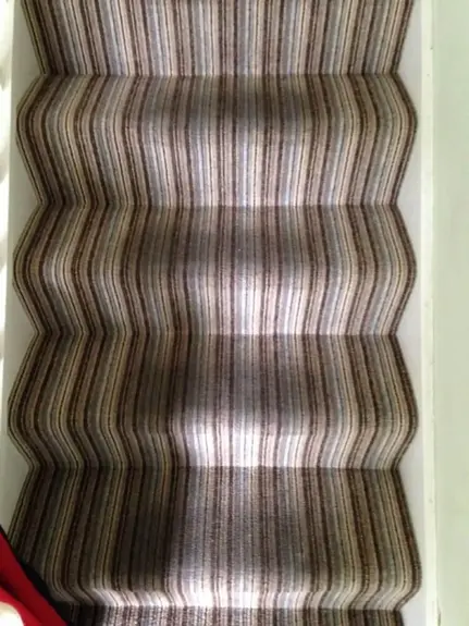 Carpet Cleaner