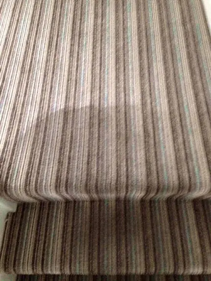 Carpet Cleaner