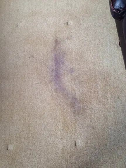 Carpet Cleaner