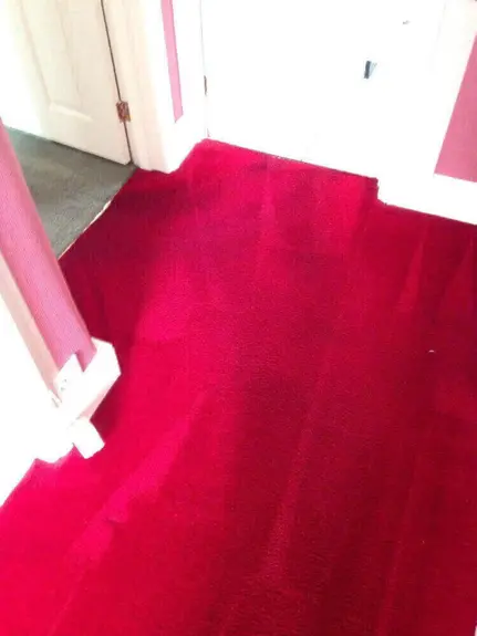 Carpet Cleaner