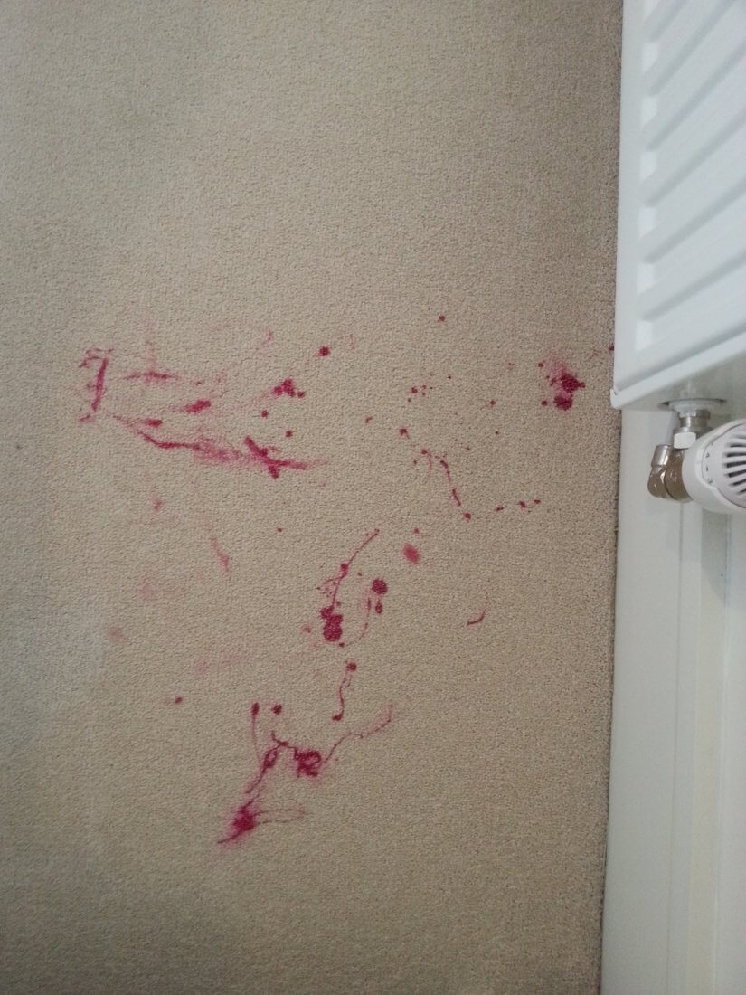 Steam Cleaning Carpets Leamington Spa